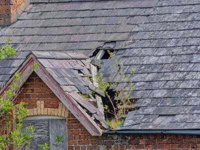 Professional emergency water damage restoration services in Oakville